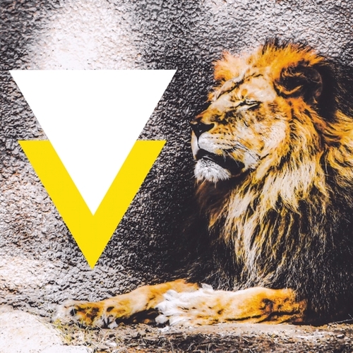 lion with white and yellow triangle  Mural by Timmy333