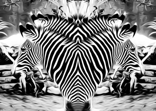 drawing and painting zebras in black and white Mural by Timmy333
