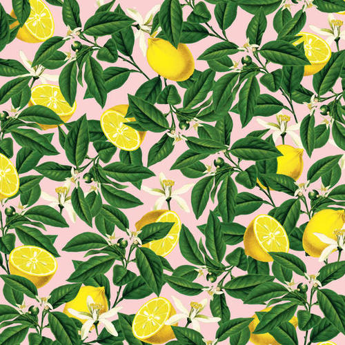 Lemonade Mural by Uma Gokhale