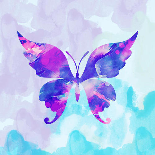 Abstract Butterfly Mural by Amir Faysal