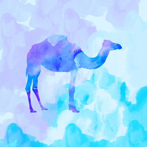 Abstract Camel Mural by Amir Faysal
