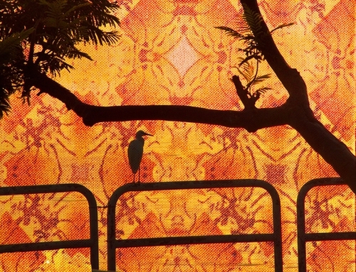Lonely Bird Mural by Irena Orlov