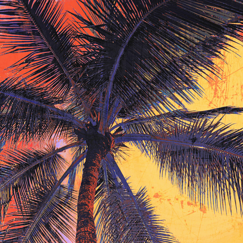  Palm Tree Sunset Mural by Irena Orlov