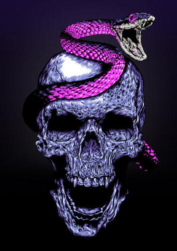 Skull and Snake Mural by Jordygraph