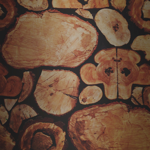 Lumberjack Mural by Leah Flores