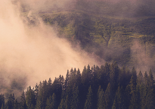 MOUNTAIN SECRET Mural by DANIEL COULMANN