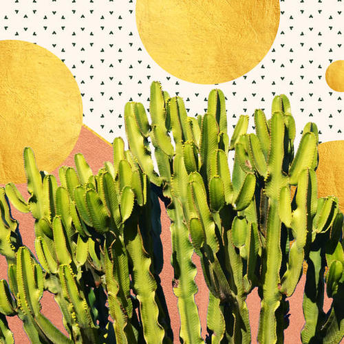 Cactus Dream Mural by Uma Gokhale