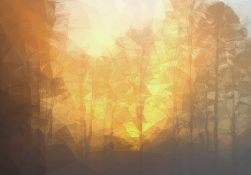 Forest in the sunrise Mural by Vic Storia