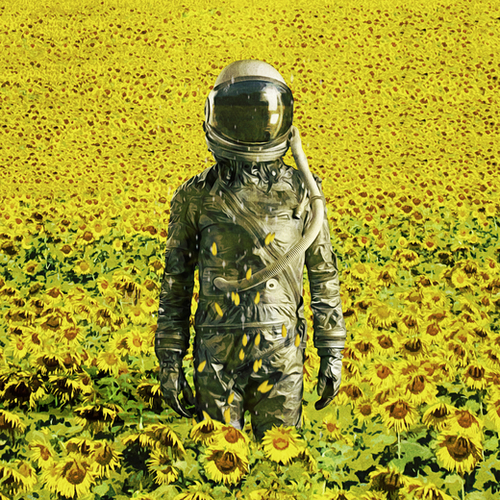 Stranded in the sunflower field Mural by Seamless