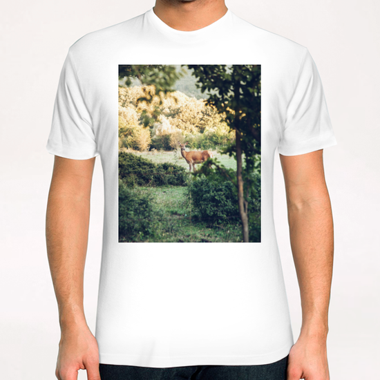 Lone Deer T-Shirt by Salvatore Russolillo